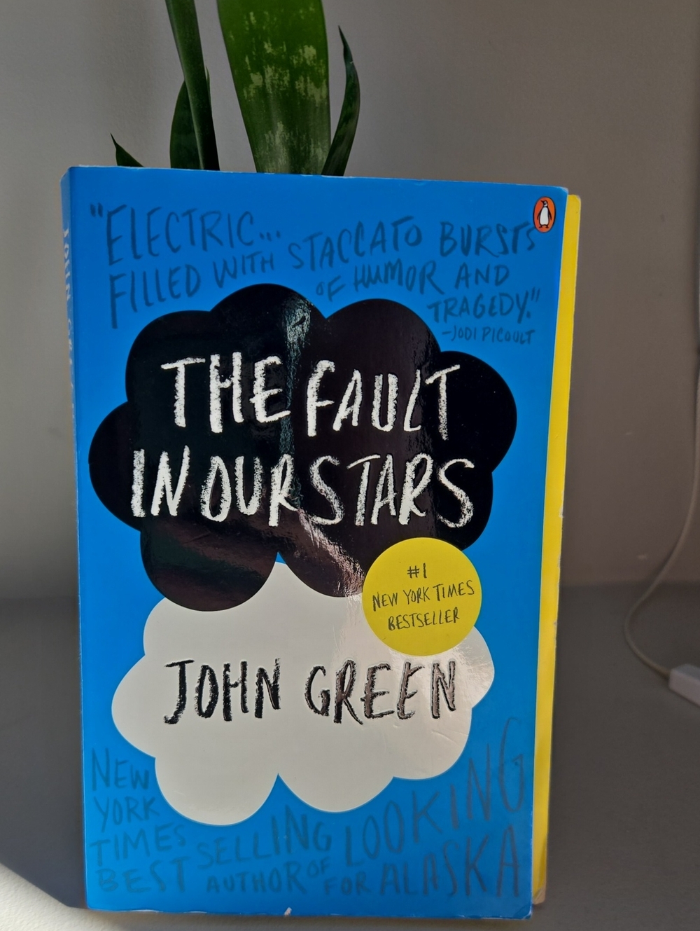 The Fault In Our Stars